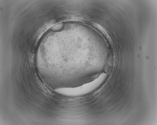 X0000087681260200706011645