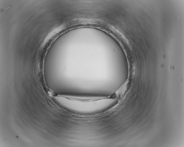 X0000087681261200706011645