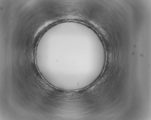 X0000087681262200706011645