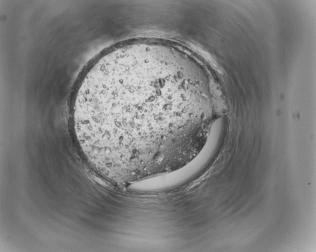 X0000087681264200706011645