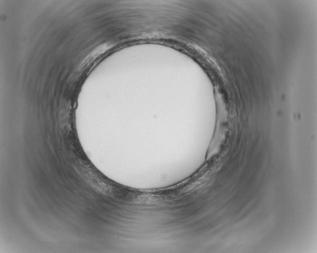 X0000087681265200706011645