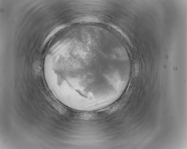 X0000087681266200706011645