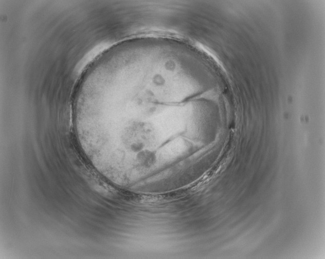 X0000087681267200706011645