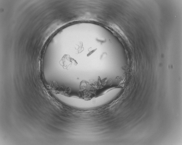 X0000087681268200706011645