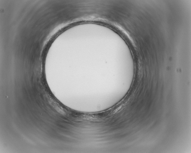 X0000087681270200706011645