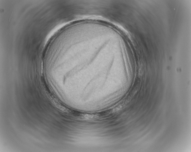 X0000087681271200706011645