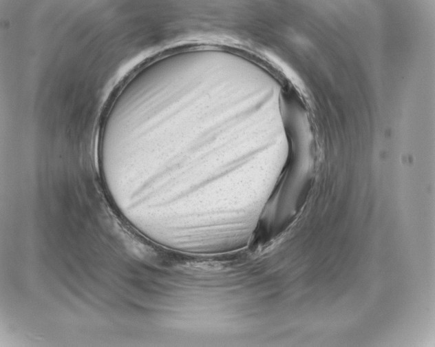 X0000087681272200706011645