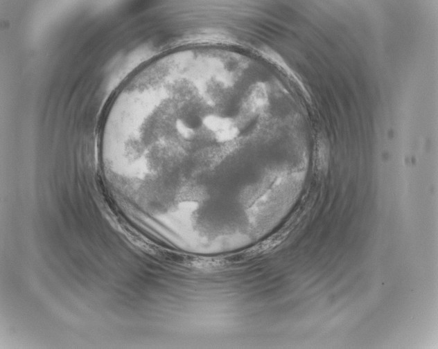 X0000087681274200706011645