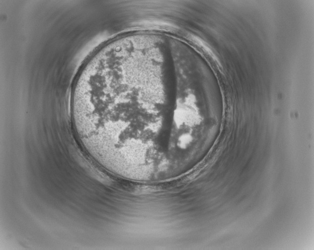 X0000087681275200706011645