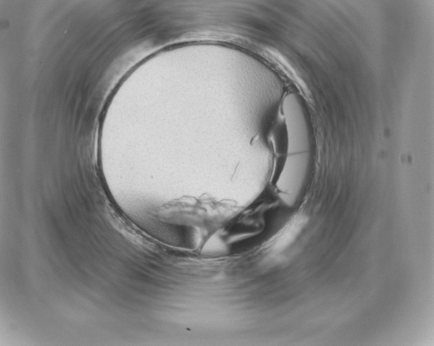 X0000087681276200706011645