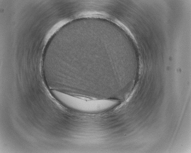 X0000087681277200706011645