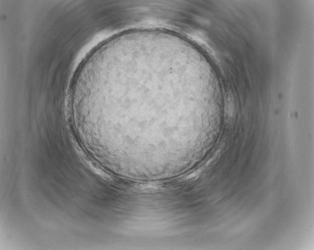 X0000087681278200706011645