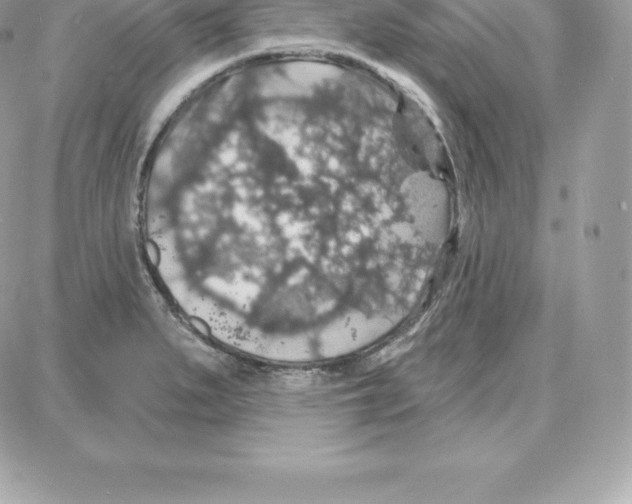 X0000087681279200706011645