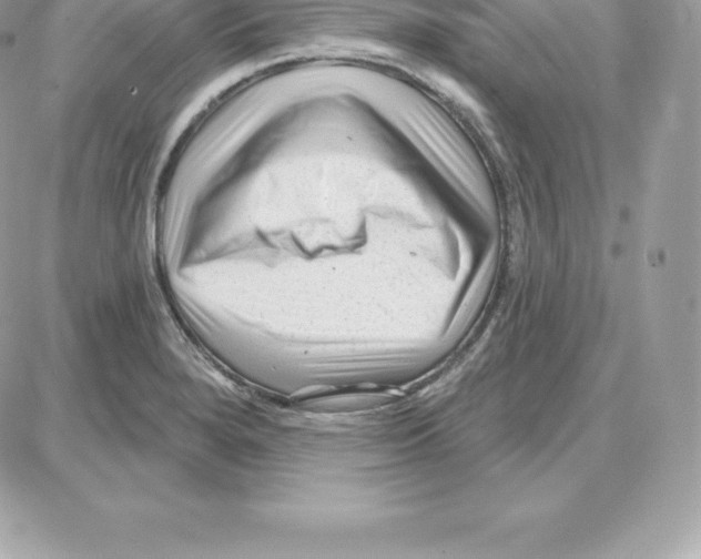 X0000087681280200706011645