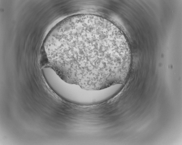 X0000087681284200706011645