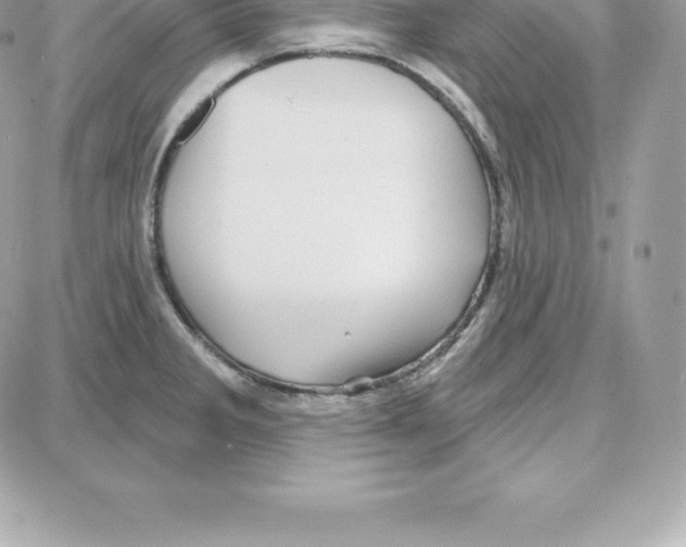 X0000087681285200706011645