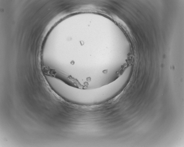 X0000087681288200706011645