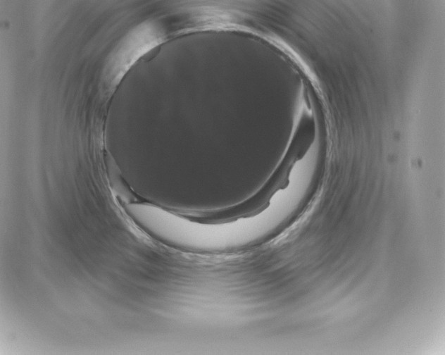 X0000087681289200706011645