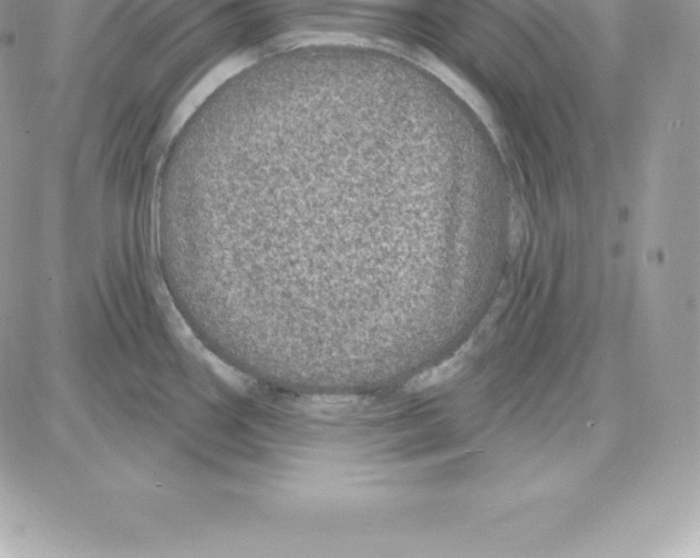 X0000087681290200706011645