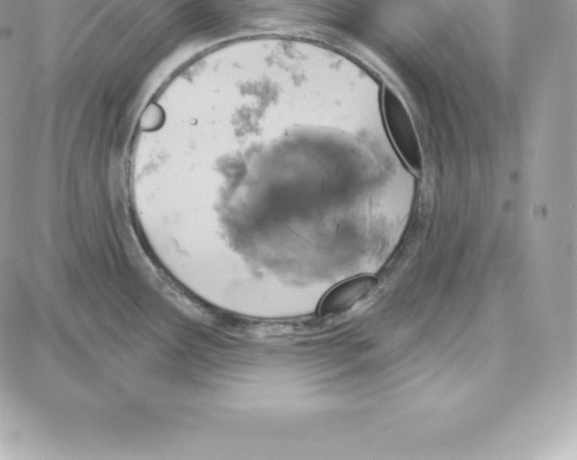 X0000087681291200706011645