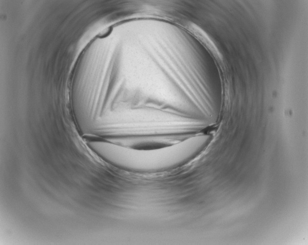 X0000087681292200706011645