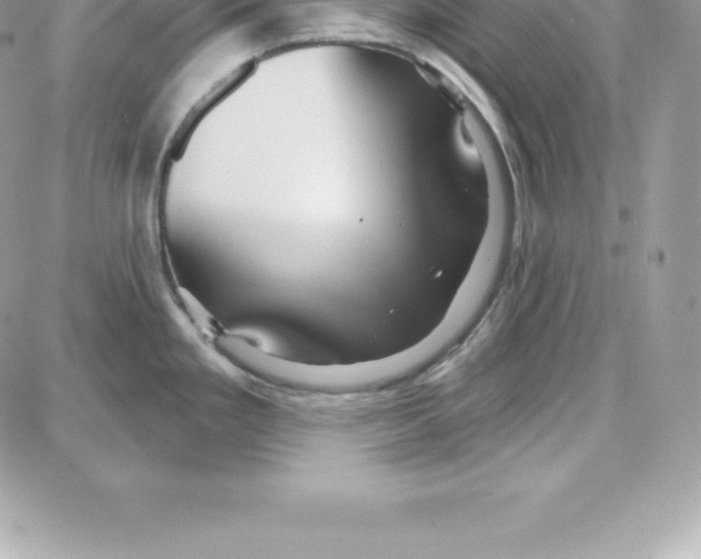 X0000087681293200706011645