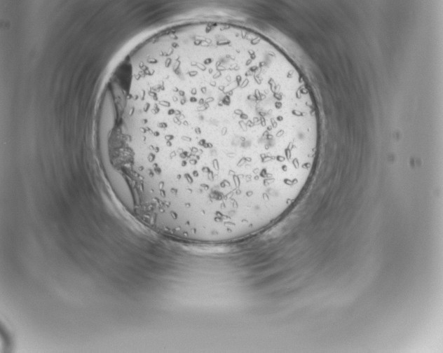 X0000087681296200706011645