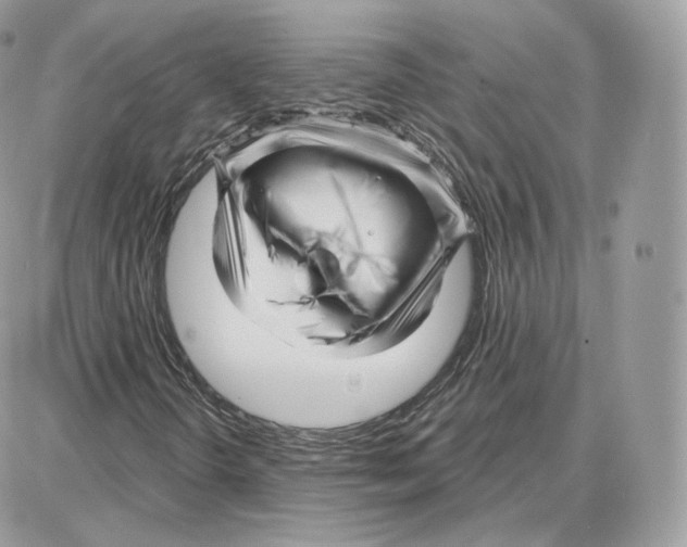 X0000087681298200706011644