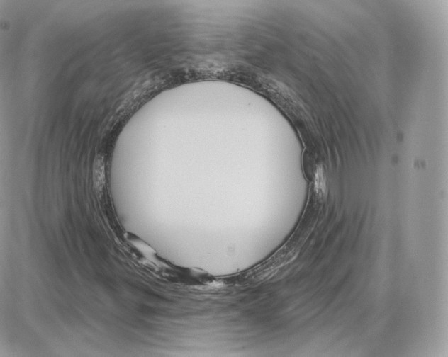 X0000087681299200706011644