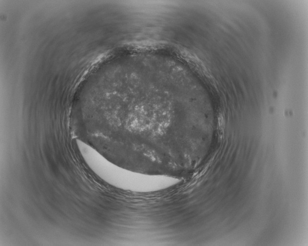 X0000087681300200706011644