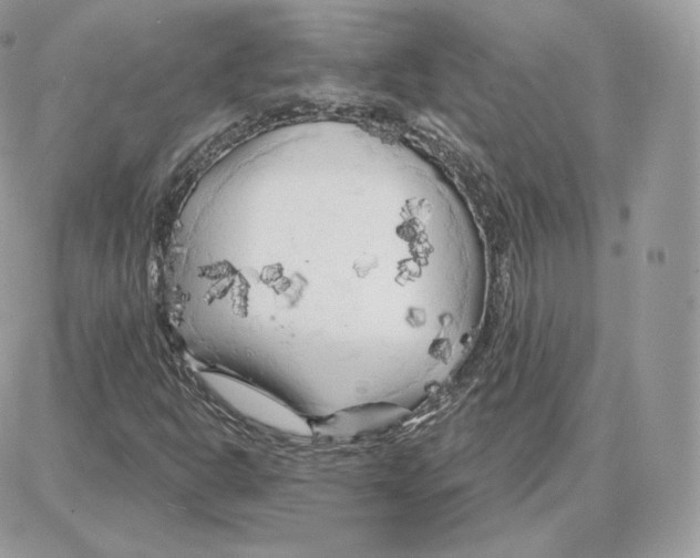 X0000087681302200706011644