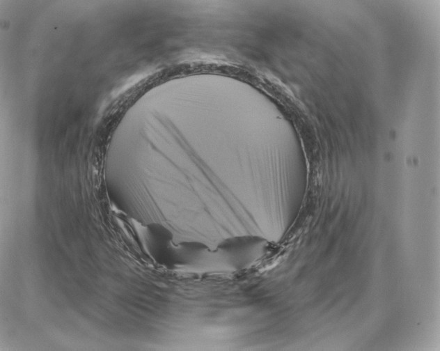 X0000087681303200706011644