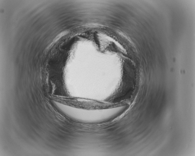 X0000087681305200706011644