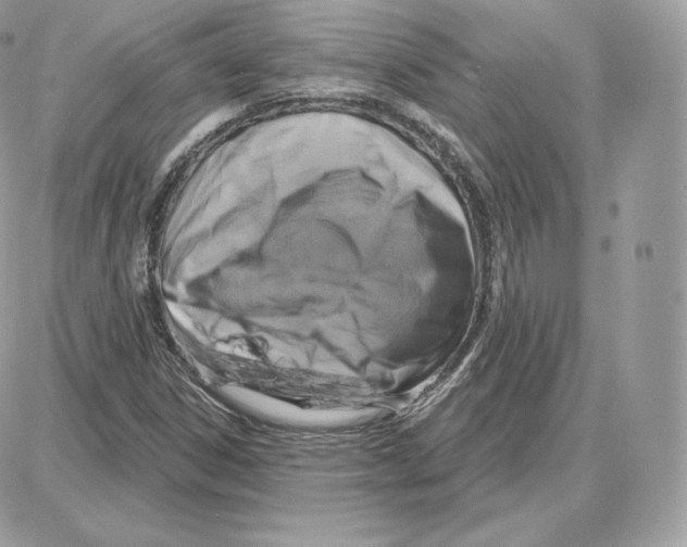 X0000087681306200706011644