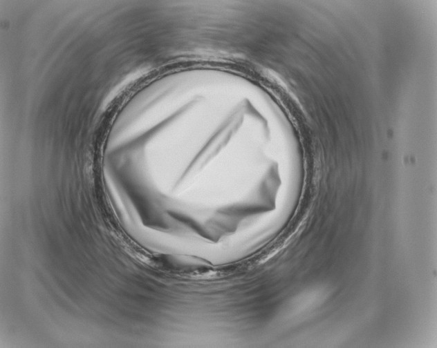 X0000087681307200706011644