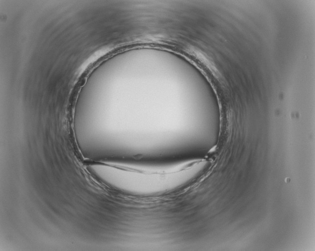 X0000087681308200706011644