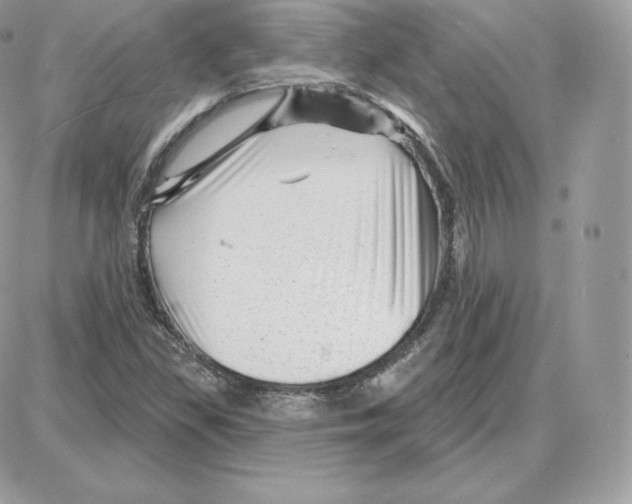 X0000087681309200706011644