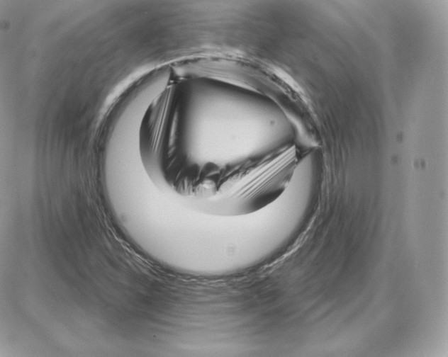 X0000087681310200706011644