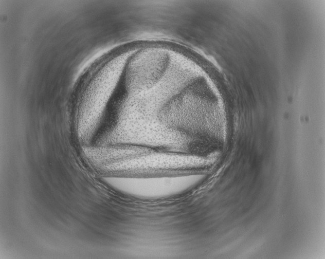 X0000087681311200706011644