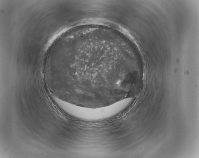 X0000087681312200706011644