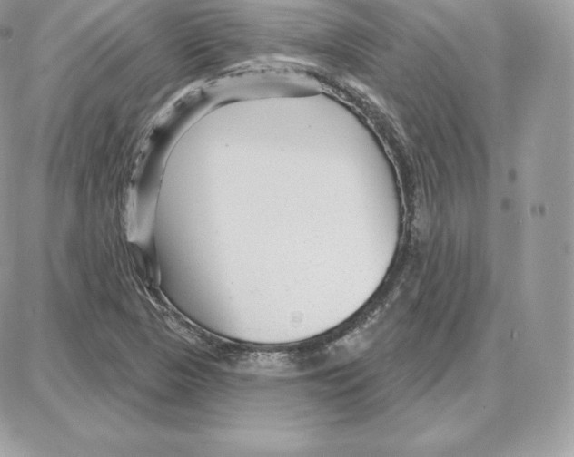 X0000087681313200706011644