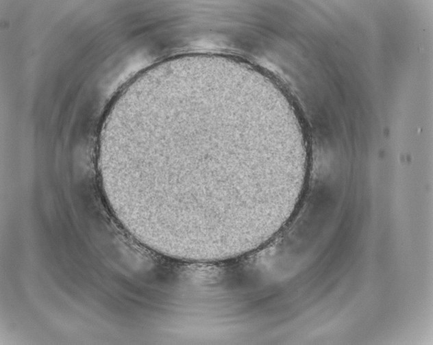 X0000087681314200706011644