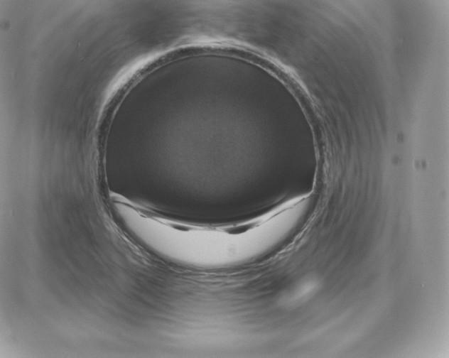 X0000087681319200706011644