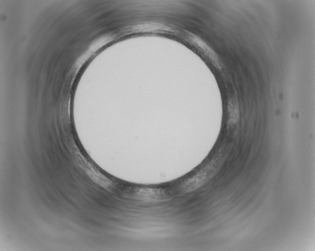 X0000087681322200706011644