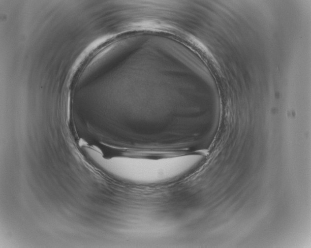 X0000087681323200706011644