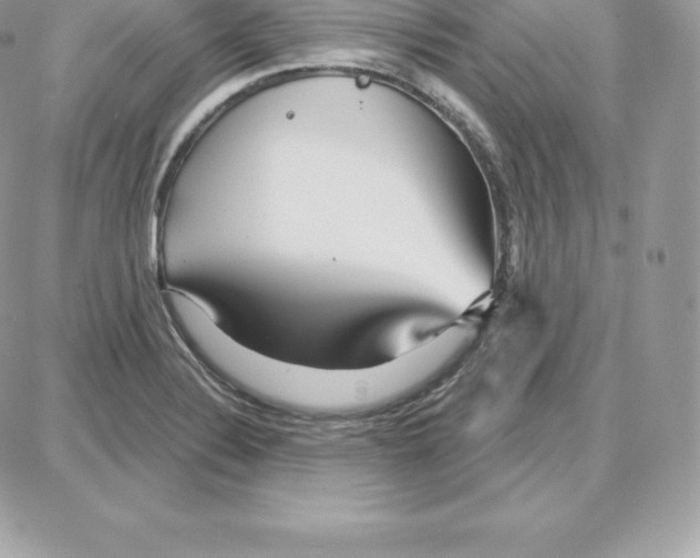 X0000087681324200706011644