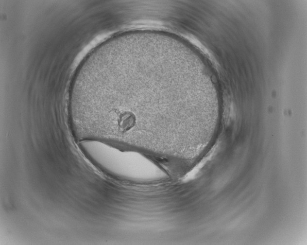 X0000087681325200706011644