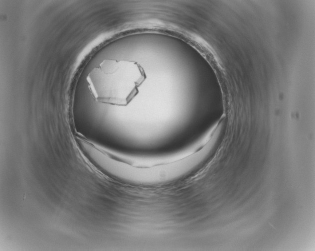 X0000087681326200706011644