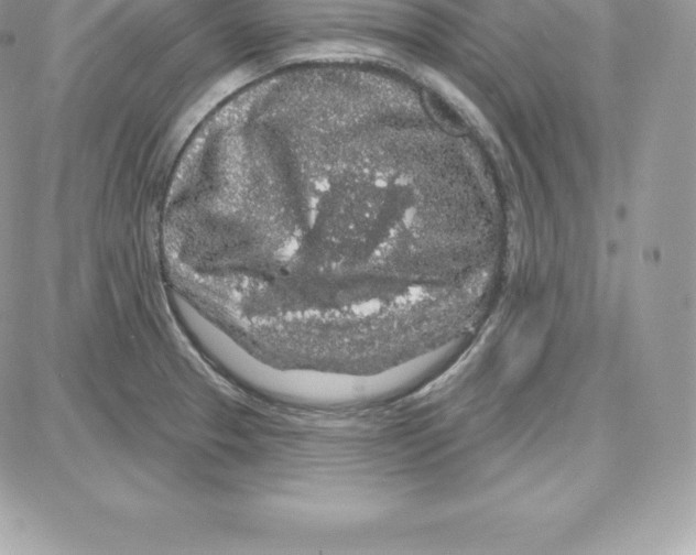 X0000087681329200706011644