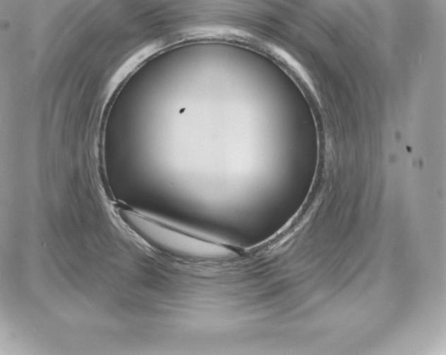 X0000087681330200706011644